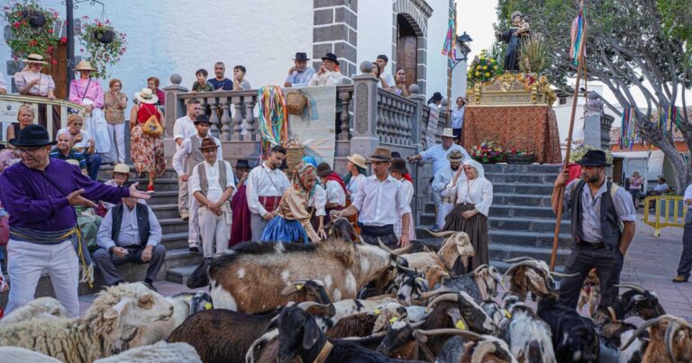 Televisión Canaria festeja este sábado la popular romería de San Antonio El Chico