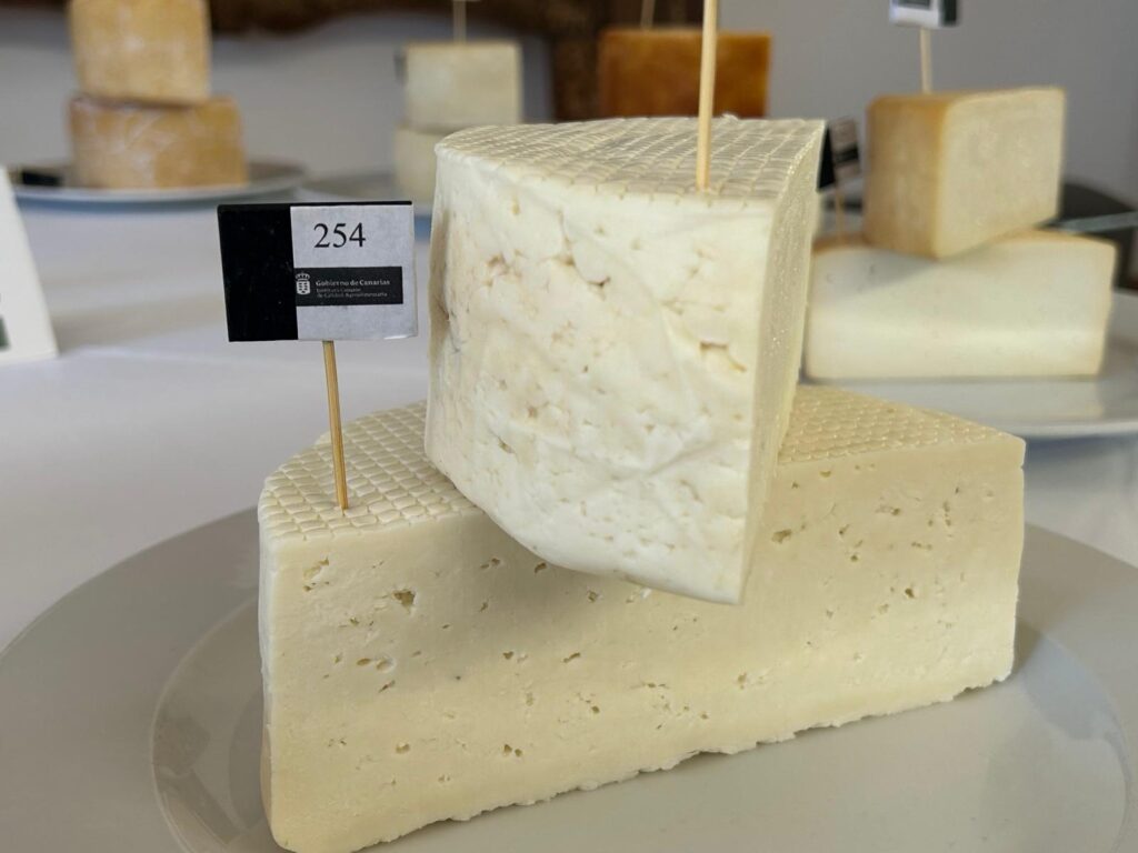 Comienza el Concurso Agrocanarias en Lanzarote para elegir el mejor queso del archipiélago entre 73 queserías