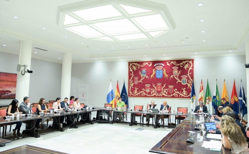 Igualdad destina 7,5 millones de euros para la conciliación de las familias con menores. Comisión Parlamentaria/ Gobierno de Canarias.