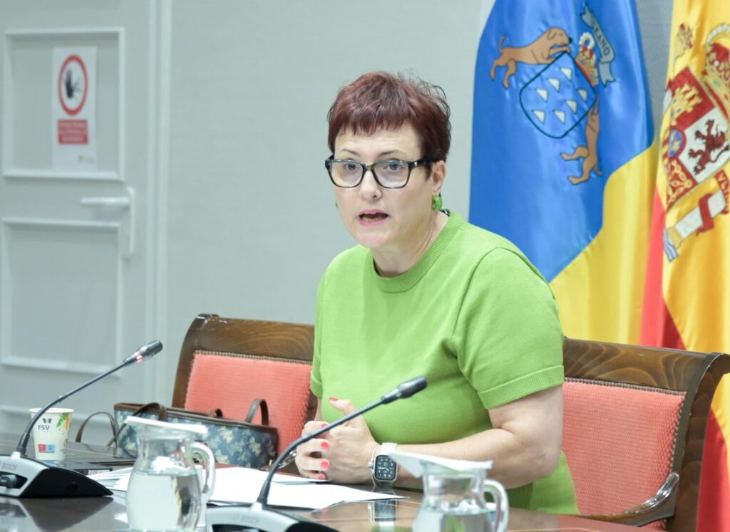 Candelaria Delgado en la comisión parlamentaria. Imagen Gobierno de Canarias