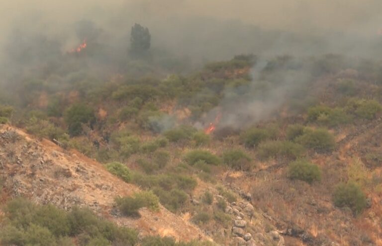 El incendio de Tenerife ha sido estabilizado