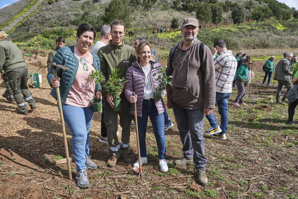 Tenerife activa el céntimo verde: 0,02 euros por litro de combustible para proteger los montes