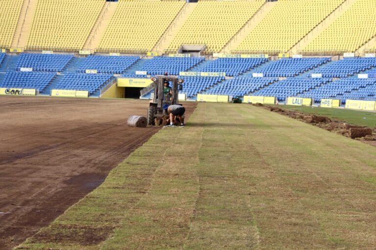 Comienzan los trabajos para renovar el césped del Estadio de Gran Canaria