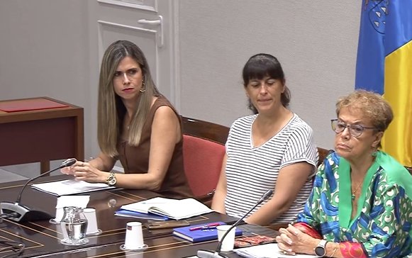 El Consejo Escolar de Canarias busca renovar el pacto por la educación. Consejo Escolar de Canarias. RTVC.