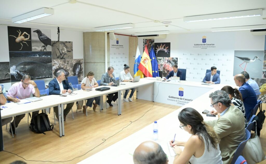 Canarias busca acelerar la penetración de energías limpias 