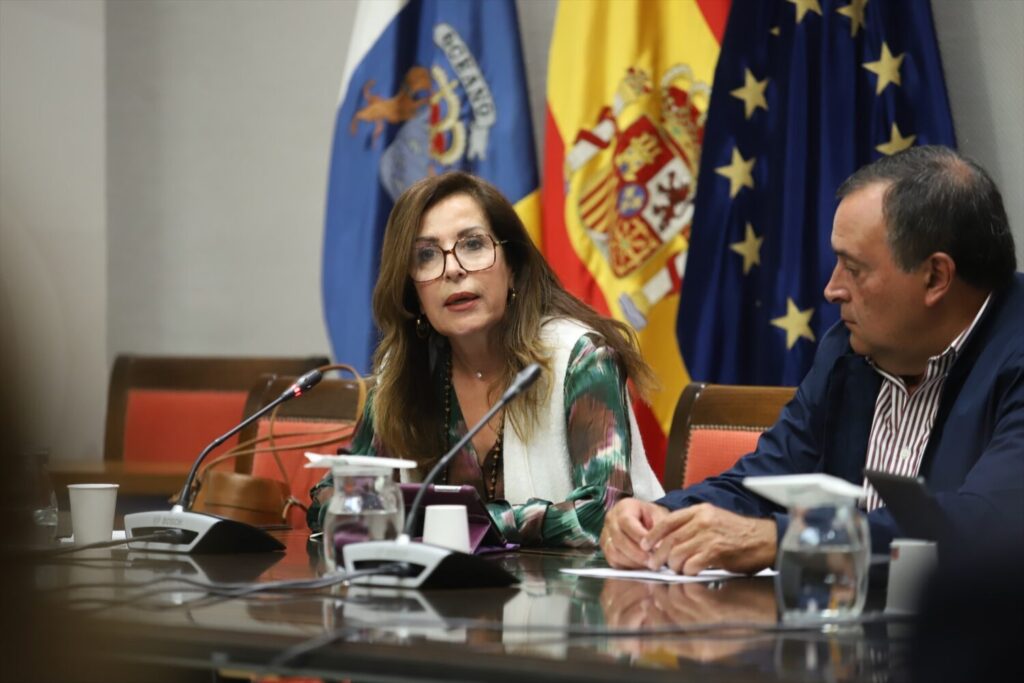 La diputada del Común denuncia que en Canarias los extutelados se quedan en la calle
