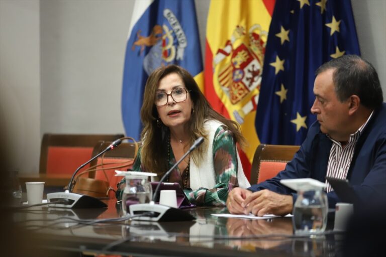 La diputada del Común denuncia que en Canarias los extutelados se quedan en la calle