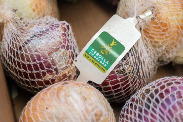 Gáldar celebra la XXVI Fiesta de la Cebolla en Piso Firme