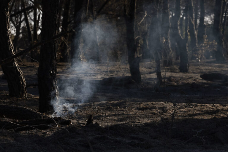 Prácticamente extinguido el incendio de Méntrida en Toledo
