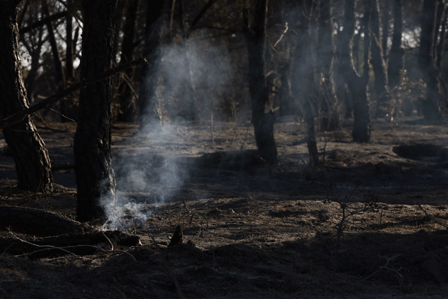 Incendio Méntrida Toledo