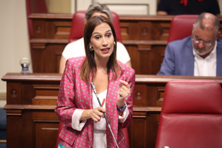 El PSOE canario acusa a Manuel Domínguez, presidente autonómico del PP, de «falta de liderazgo»