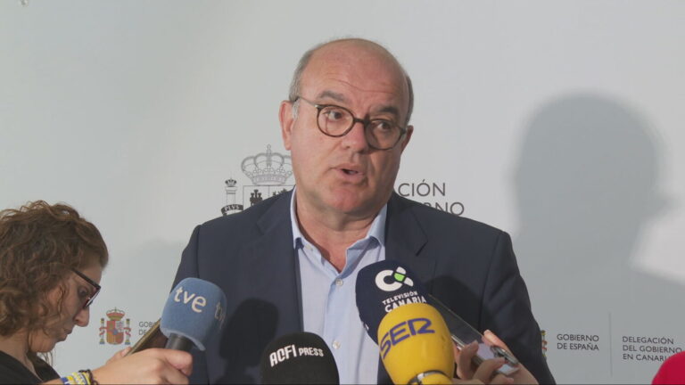 Pestana a Abascal (Vox): «Que se vaya a mentir a otro lado»