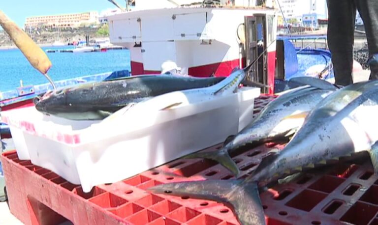La sobrepesca y la falta de protección perjudican las poblaciones marinas