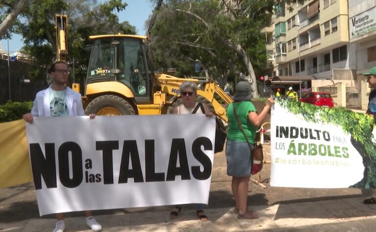 Oposición ciudadana a la tala de árboles en la Rambla de Santa Cruz de Tenerife
