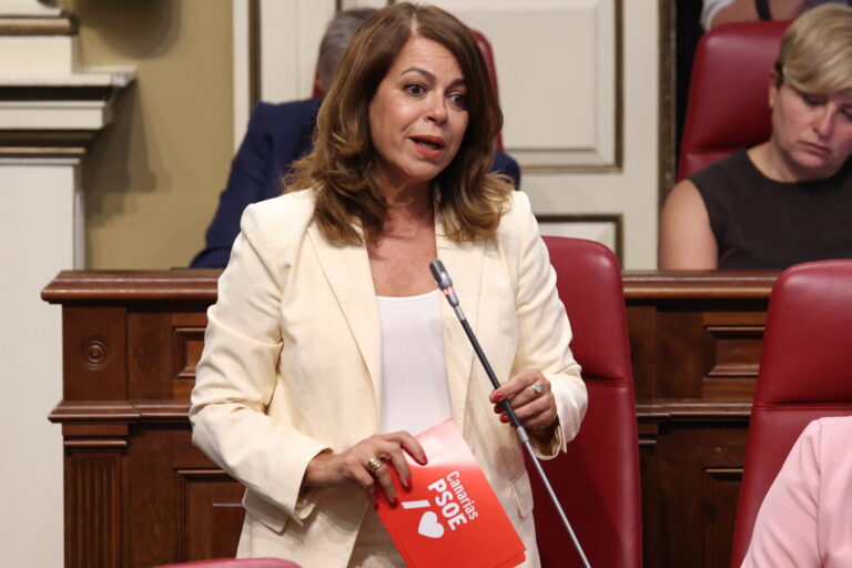 Raya: «Dávila y el PP imponen un nuevo impuesto a las familias pero rechazan una ecotasa»