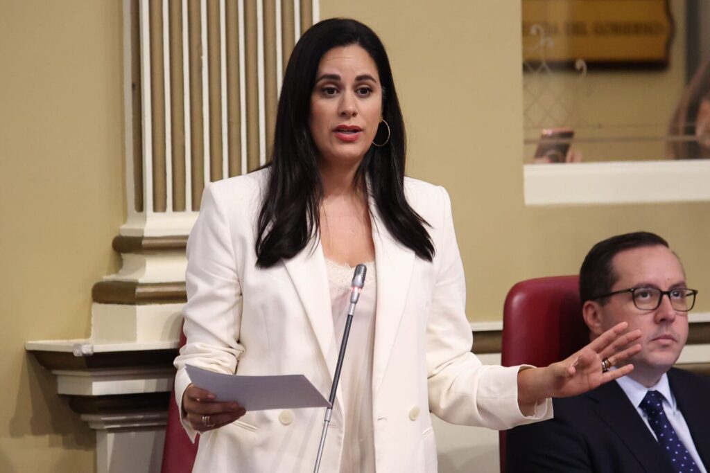 La consejera Asián señala que el gravamen al combustible es una medida voluntaria para los cabildos