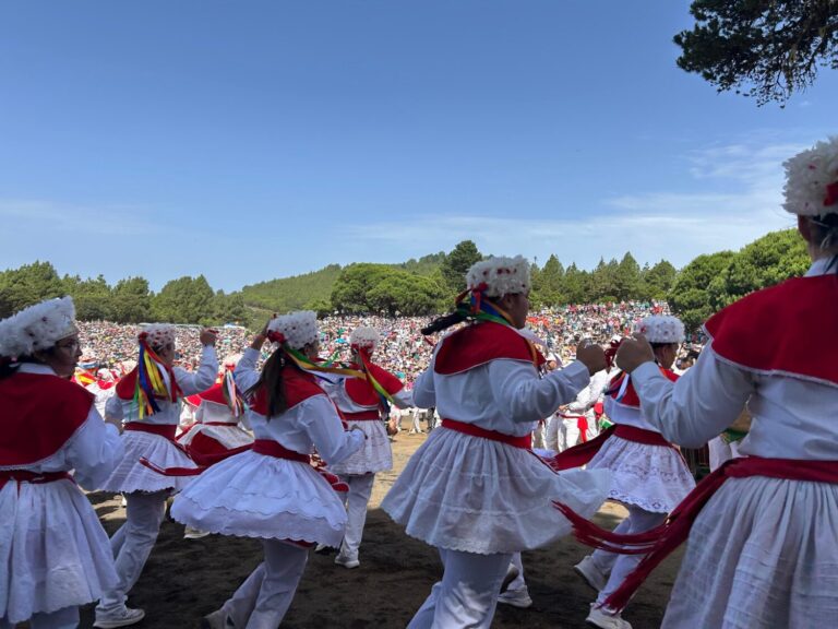 Bajada de la Virgen de los Reyes | Galería de imágenes