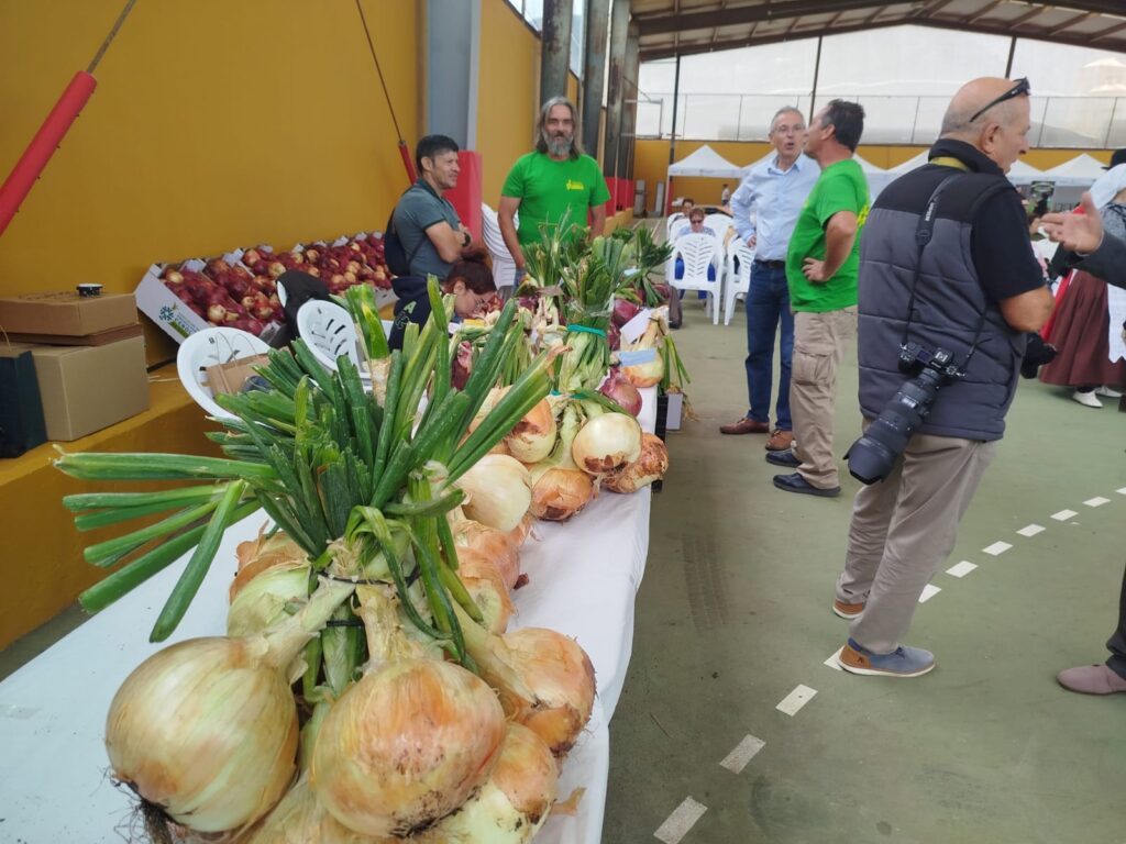 Celebración de la Fiesta de la Cebolla de Gáldar