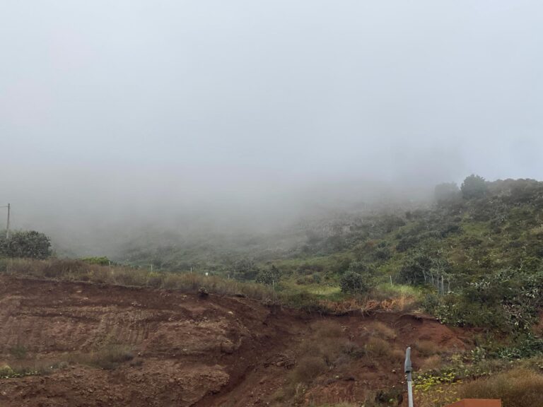 Finaliza la alerta por riesgo de incendios forestales al bajar las temperaturas