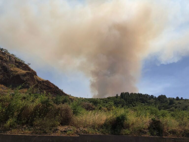 Estabilizan un incendio en Tenerife que obligó a la evacuación de 50 viviendas