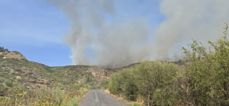 Finaliza la alerta por riesgo de incendios forestales en Canarias