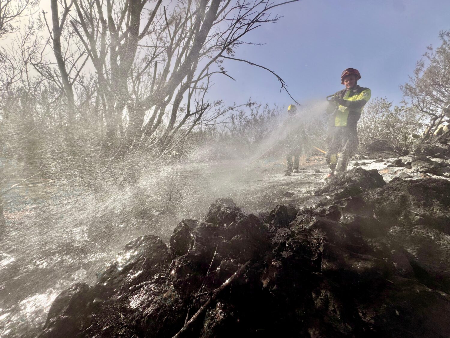 Dan por controlado el incendio forestal de El Tanque que afectó a 81 hectáreas