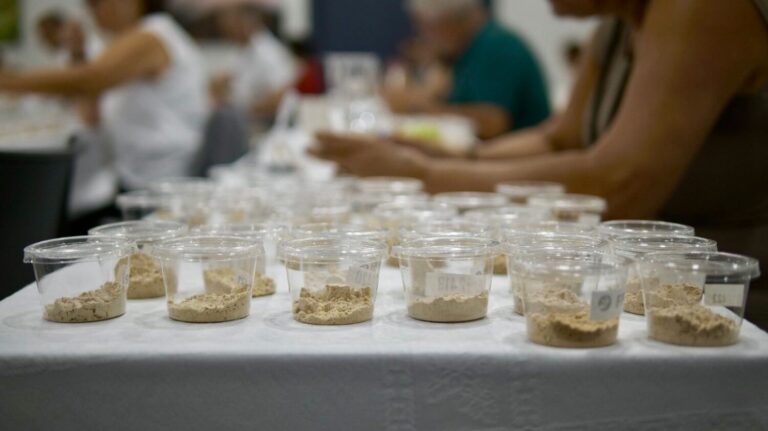 San Sebastián de La Gomera acoge una jornada cultural y gastronómica en torno al gofio