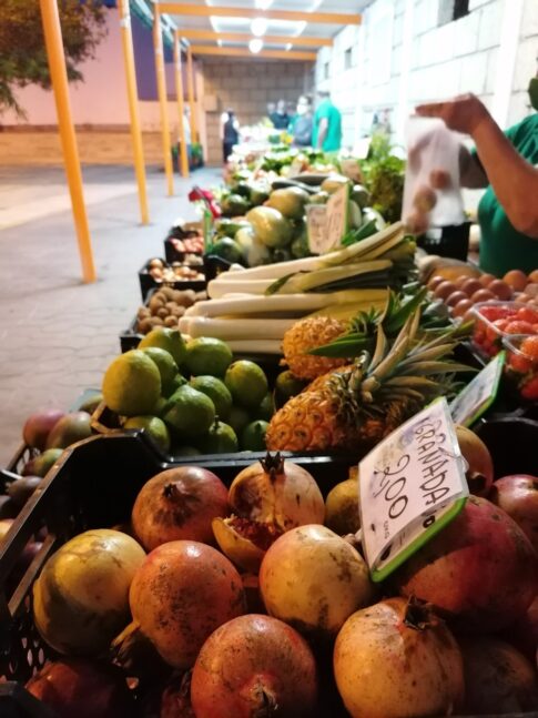 Recomendaciones para evitar infecciones alimentarias durante el verano