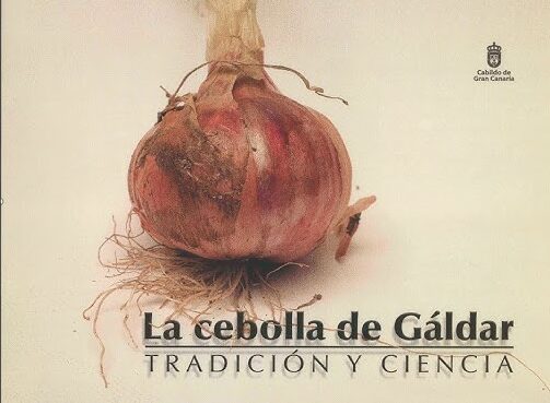 Premiadas las mejores cebollas de Gáldar