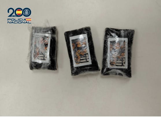 La Policía Nacional ha detenido a dos personas durante un registro en el dispositivo de seguridad para la Bajada de la Virgen de las Nieves 