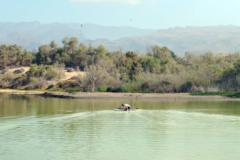 La Charca de Maspalomas, un laboratorio natural sobre el cambio climático