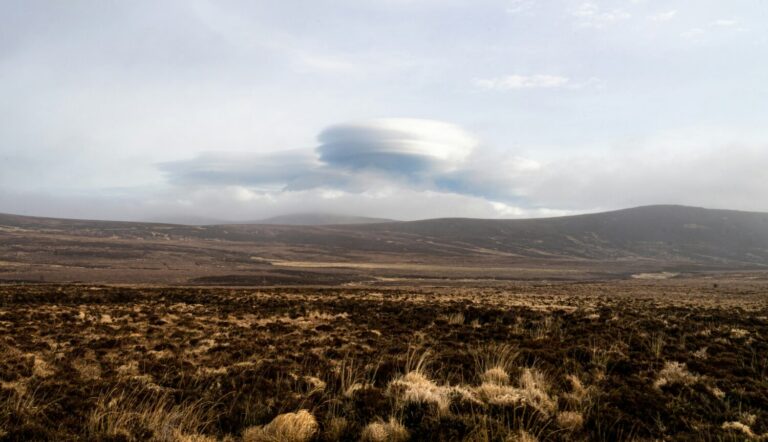 Especial de la Alerta OVNI en ‘Crónicas de San Borondón’