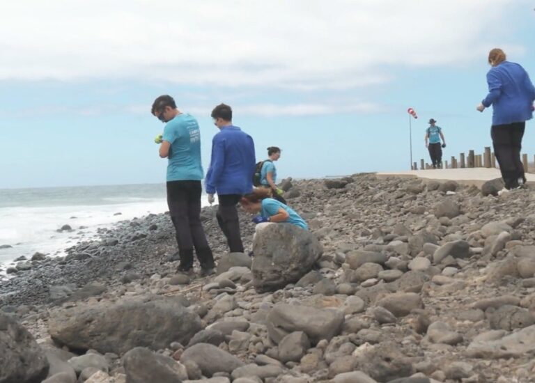 Los estudiantes de la Ruta Siete de la ULPGC limpian la playa de El Burrero