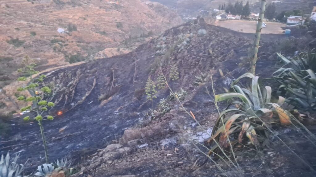 Situación a primera hora de la mañana del incendio forestal en Gran Canaria / Cabildo de Gran Canaria 