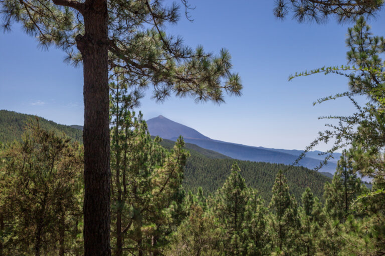 Al menos 14 motoristas sancionados por circular por un espacio protegido en Tenerife