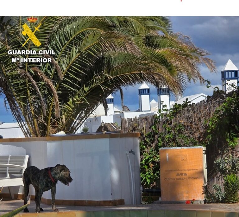 Investigado un vecino por presunto maltrato animal tras numerosos ataques de sus perros