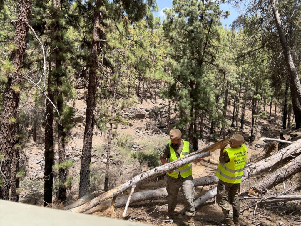La Operación ‘Centinela Canario’ vigila los montes de Tenerife