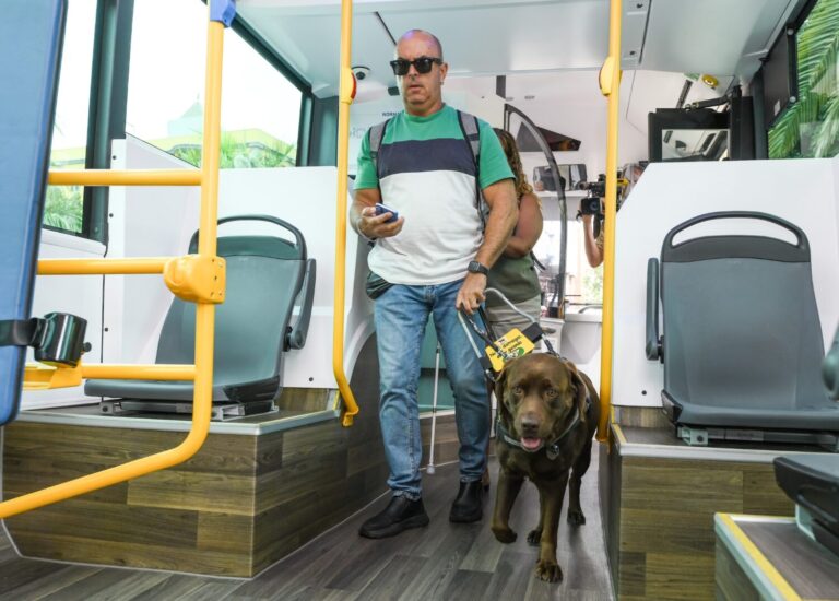 Perros de asistencia en las guaguas de Las Palmas de Gran Canaria para mejorar la accesibilidad