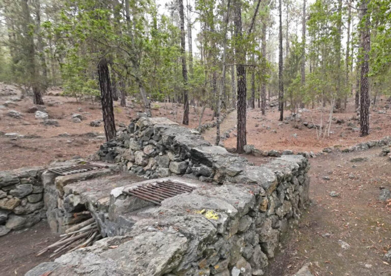 Finaliza la prohibición de hacer fuego en áreas recreativas en Tenerife