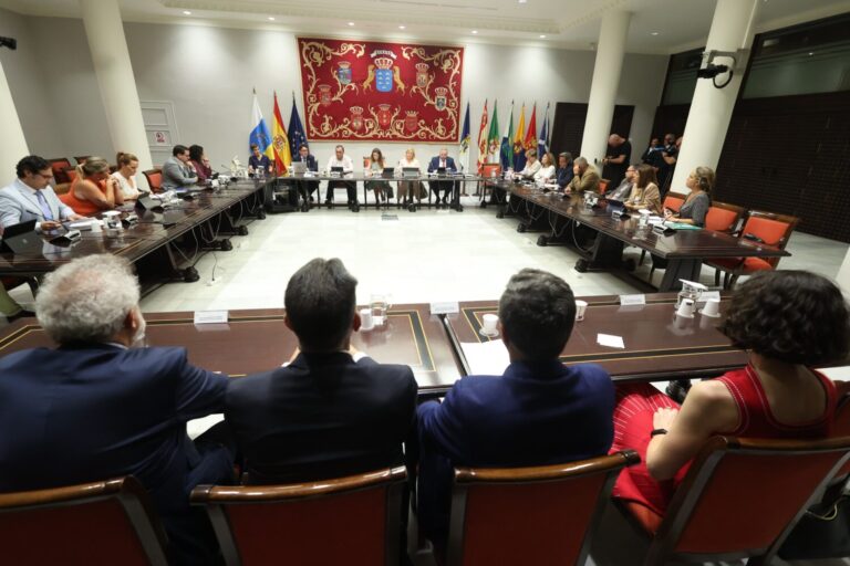 El TSJC ve «exasperante» la «lentitud» del Gobierno con la Ciudad de la Justicia en Tenerife