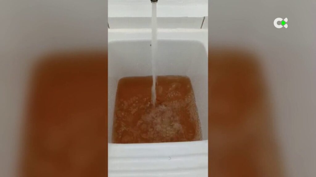 La calidad de vida es cuestionable, evidenciada por su coloración marrón. RTVC