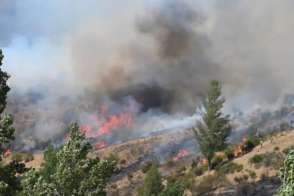 El incendio que quema Fasgar (León) desde el pasado 8 de agosto -21 días-, con la incapacidad de los medios de extinción de atacar directamente en muchas ocasiones las llamas, posee unas condiciones "nunca vistas", según relatan los medios que tratan de sofocarlo, ha destacado la Junta de Castilla y León