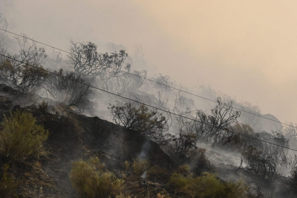 Castilla y León, Extremadura y Galicia en vilo por los incendios forestales. El incendio que amenaza la vertiente leonesa del Parque Nacional de Picos de Europa, iniciado en Barniedo de la Reina e impulsado por el viento y las altas temperaturas. EFE/J.Casares