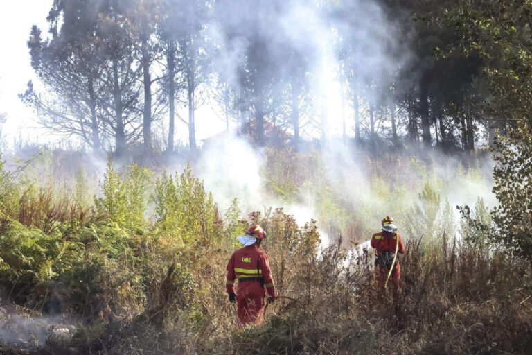 El viento dificulta la extinción de los incendios forestales en Cádiz, Galicia y Navarra