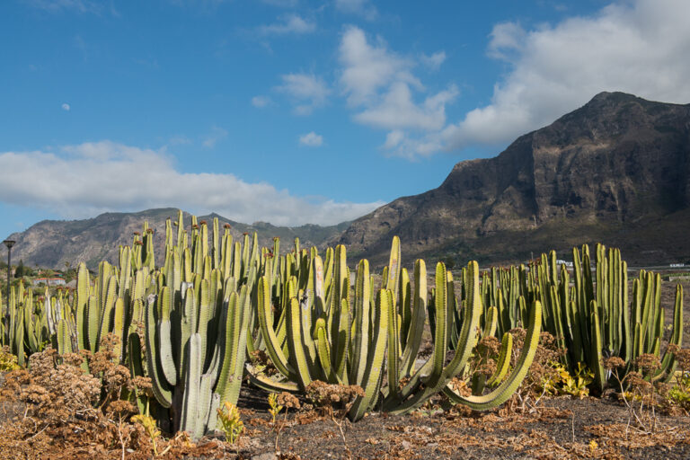 Buenavista del Norte se enfrenta al abandono rural con un nuevo consultorio médico