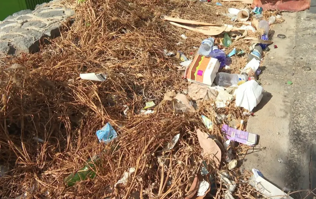 Acumulación de basura en las zonas exteriores del Aeropuerto Tenerife Sur Reina Sofía, denunciada por el CIT Sur como un problema de insalubridad y deterioro de la imagen turística de la isla