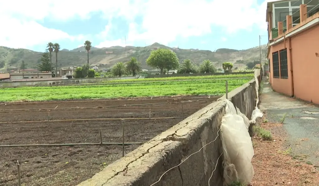 Imagen de finca agrícola en Canarias