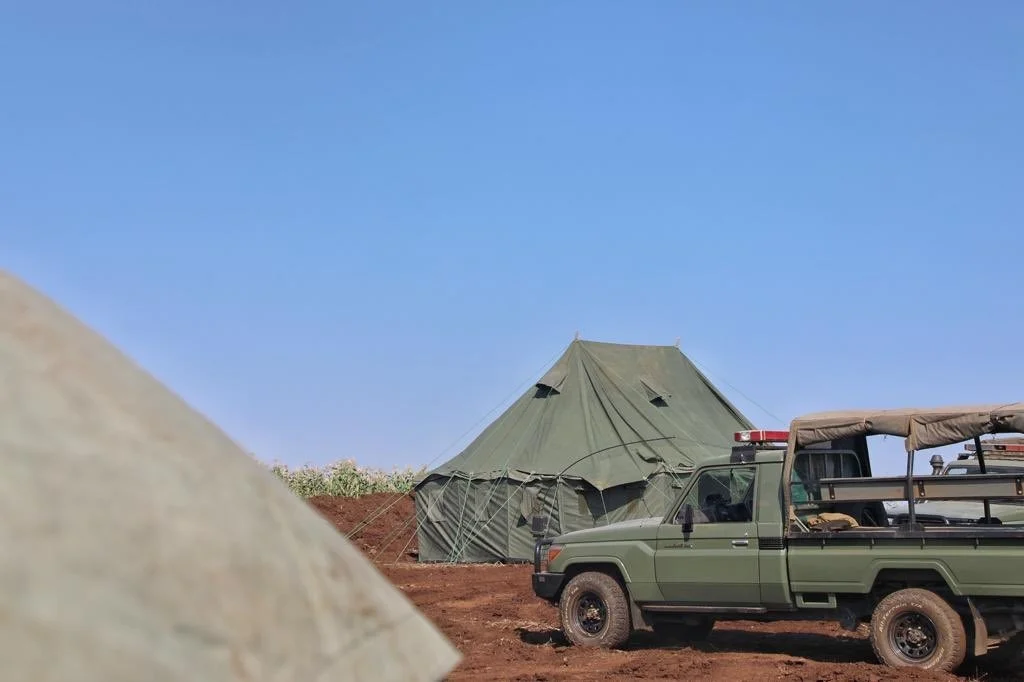 Zona en la que fueron hallados los cuerpos de las víctimas de la secta en Kenia