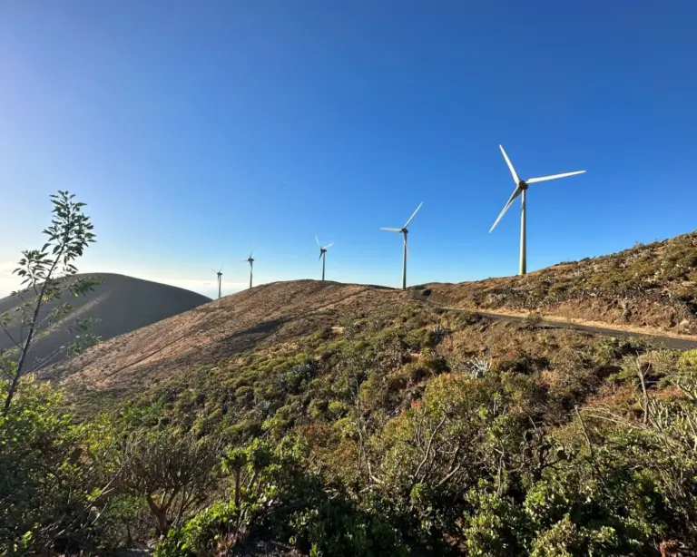 El Pleno del Cabildo de El Hierro rechaza la zona de Los Dares para la ampliación de Gorona del Viento