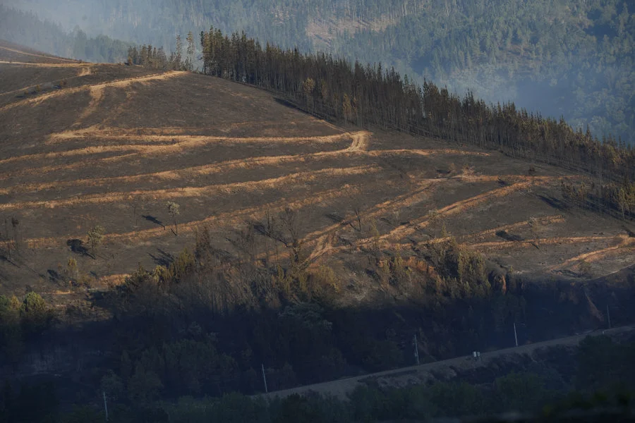 Emergencias climáticas. Imagen: Terreno calcinado por el incendio en Pobra de Brollón-Quiroga, Galicia. EFE